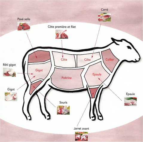 Differents Morceaux De L agneau Cuisiner L agneau La Bergerie Differents Morceaux De L agneau Cuisiner L agneau La Bergerie